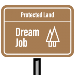 Land that dream job